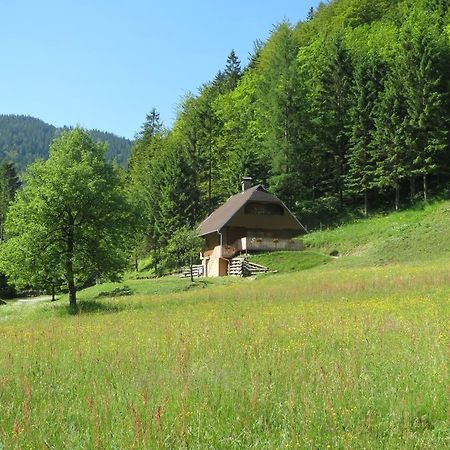 Apartmaji Brloznica Pod Veliko Planino Luče 객실 사진