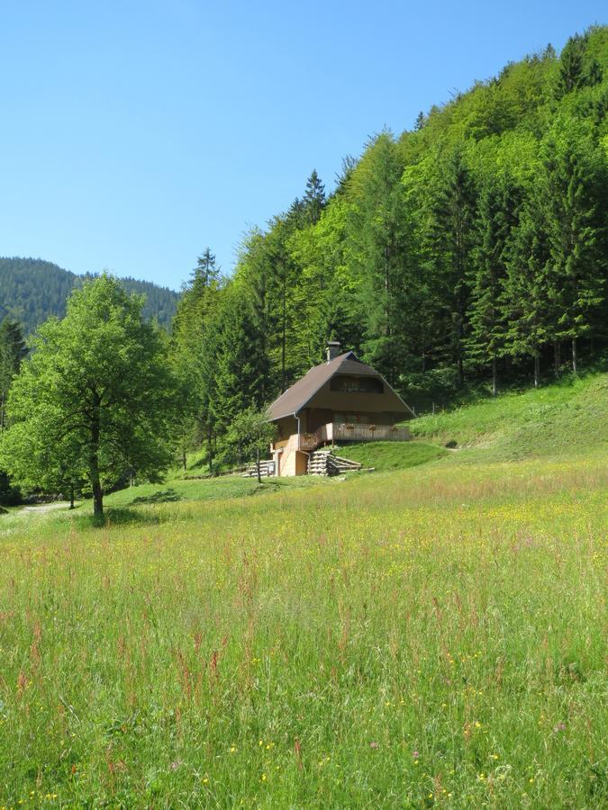 Apartmaji Brloznica Pod Veliko Planino Luče 객실 사진